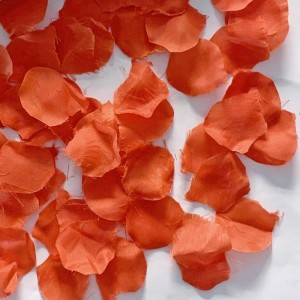  Lança Confete Romance Ref. 7212