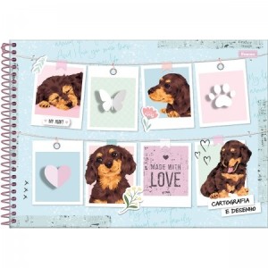 CADERNO CARTOGRAFIA C.D 96FLS FORONI REF.31.9489-1