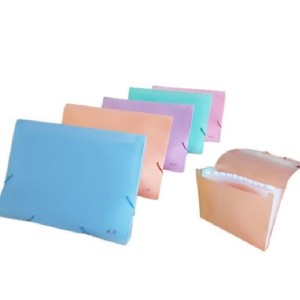 PASTA SANFONADA A4 12 DIVISÕES  ROSA PASTEL